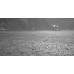 bird_intersection_with_boat