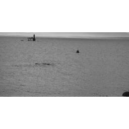 nama_rhib